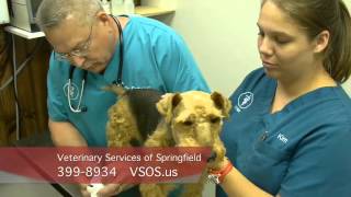 Veterinary Services of Springfield Generic New Loc REV Compressed