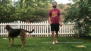 Shin Splints - Plyometric Exercises