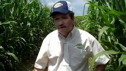 Dennis Stephens Harvest Video.mp4