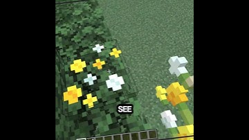 Cool command in minecraft! #minecraft #shorts