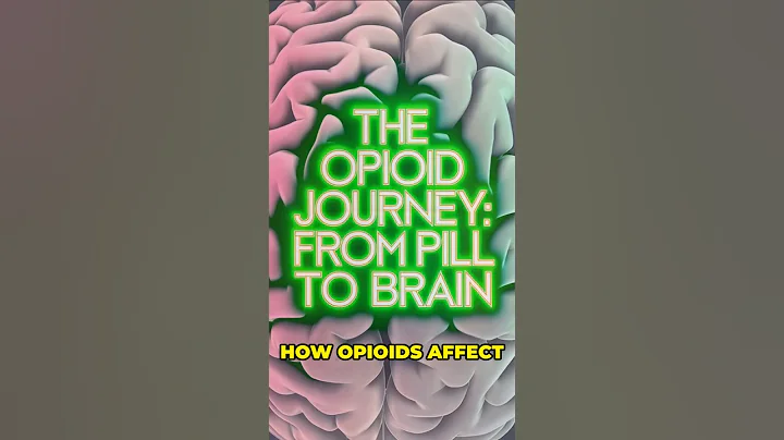 How opioids affect your body #science