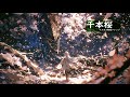 【戦闘曲風アレンジ】千本桜【AIcover×ラスボス戦】