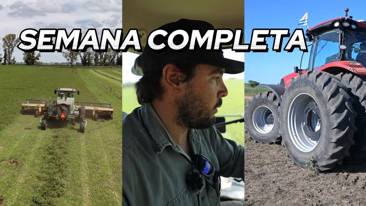 Cuando el Clima Traiciona: 7 Días de Trabajo vs Una Lluvia Inesperada - Steven Chá