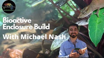 Bioactive cage build  for Chameleons!