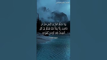 سورة الإسراء من آية 66 إلى آية 68 بصوت الشيخ ياسر الدوسري❤❤