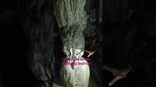 #limestone cave #baratang #andman