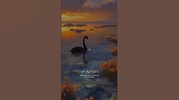 القرآن الكريم صوت دافئ