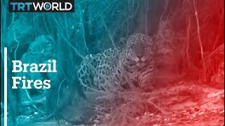 Historic blazes burn through world’s largest wetland