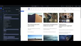 Divi Loop Extended - Advanced Tax Queries