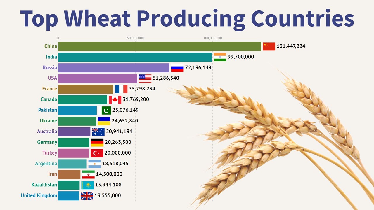 top-wheat-producing-countries-1961-2018-youtube