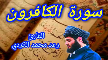 سورة الكافرون - القارئ رعد محمد الكردي
