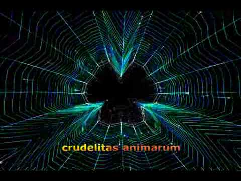 E-Nomine Mitternacht Lyrics