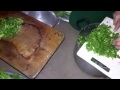 أغنيه السمقيه حصريا غزه
