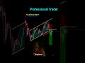 Beginner_trader_vs_professional_trader_