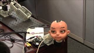 2012   RoboKind ZENO    Face Tracking Demo