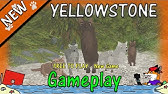 How To Catch An Elk In Roblox Early Access Yellowstone Youtube - yellowstone roblox how to hunt