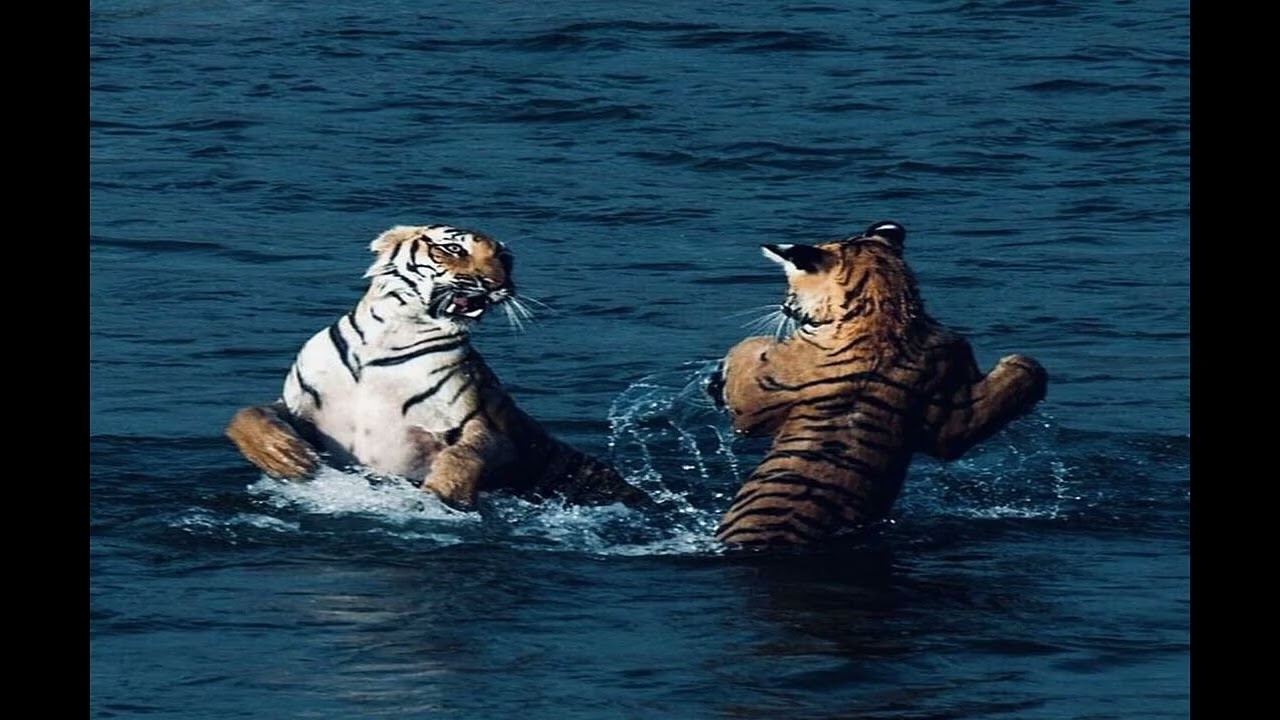 *FREE* Young Nudy x Pierre Bourne Type Beat - 