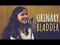 Peshaab Ki Thaili Lyrics - UnErase Poetry (2019)