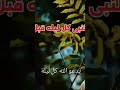 دعاء النبى كل ليله قبل نومه ردد كما كان يقول الحبيب المصطفى