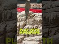 Play with MifoShape thumbnail