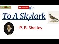To A Skylark By Percy Bysshe Shelley Summary And Line By Line Explanation In Hindi To A Skylark By Percy Bysshe Shelley Summary And Line By Line Explanation In Hindi