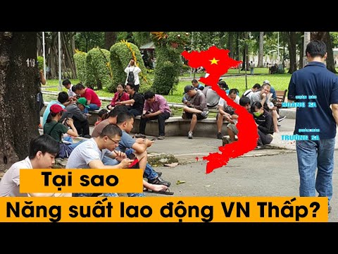 Video: Tại Sao Chuyên Môn Hóa Dẫn đến Năng Suất Lao động Cao Hơn