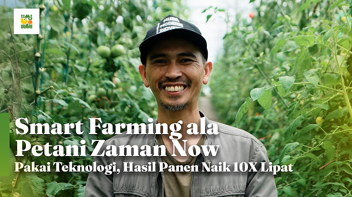 Unbelievable! Using Technology Increased Harvest Yields by 10 Times!!!