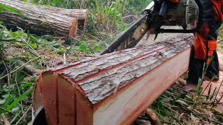 The Process of Freehand Chainsaw milling||Lumber Making Skills//Chainsaw Stihl 070