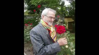 Beni Candan Usandırdı Cefâdan Yâr Usanmaz Mı Fuzûlî Mustafa Tatcı