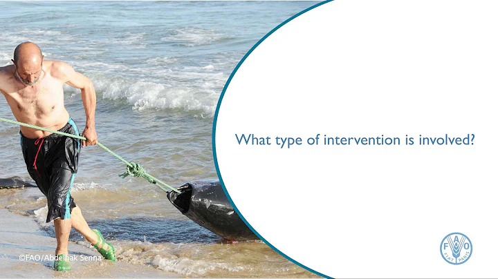 The Areas Beyond National Jurisdiction Program (ABNJ) - What type of intervention is involved? - DayDayNews