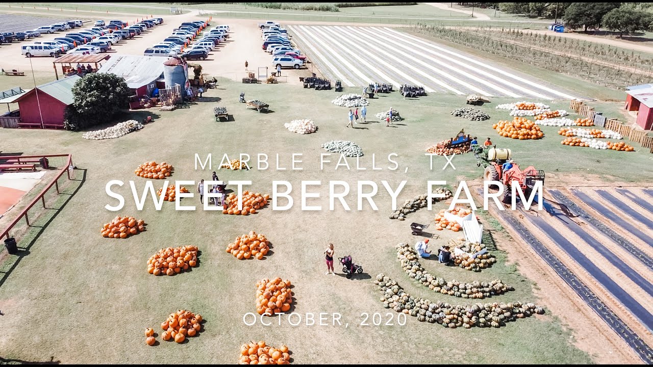 Sweet Berry Farm, Marble Falls, TX YouTube