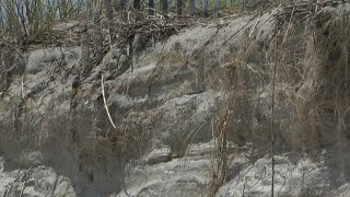 Erosion problems lead to Tybee Island beach closure