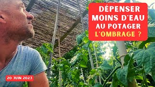 Les fortes chaleurs arrivent au potager ► Ombrage ?!