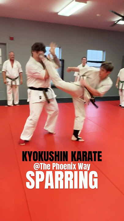 Kyokushin Karate Black Belt Mens Sparring Clip #2025 #karate #sparring #short #shortvideo #shorts