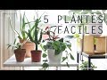 🌿 5 plantes d'intérieur faciles à entretenir