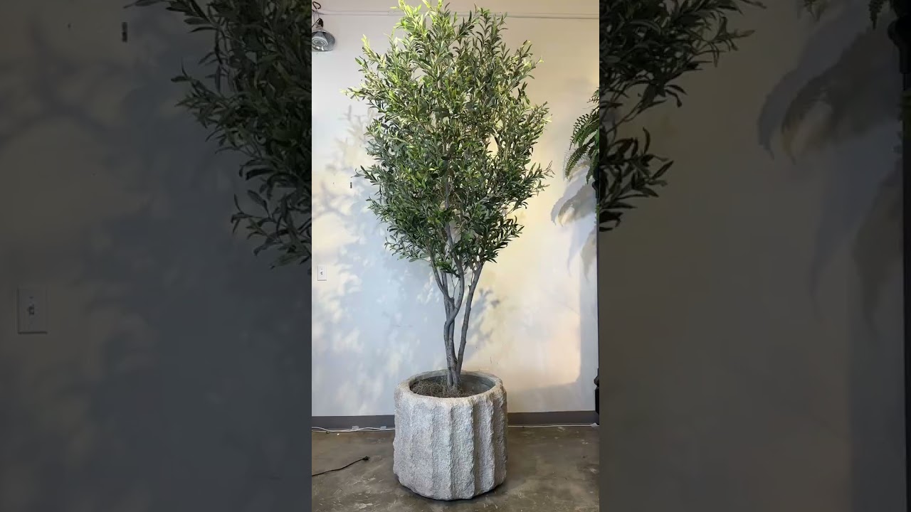 Artificial Mediterranean Olive tree multi trunk hand made  real trunks 