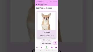Dog breed recognition mobile application screenshot 5