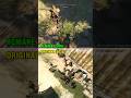 Doube Air Assassinations | Assassin's Creed Black Flag Resynced vs Original Comparison