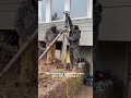 Ground Screw Foundations