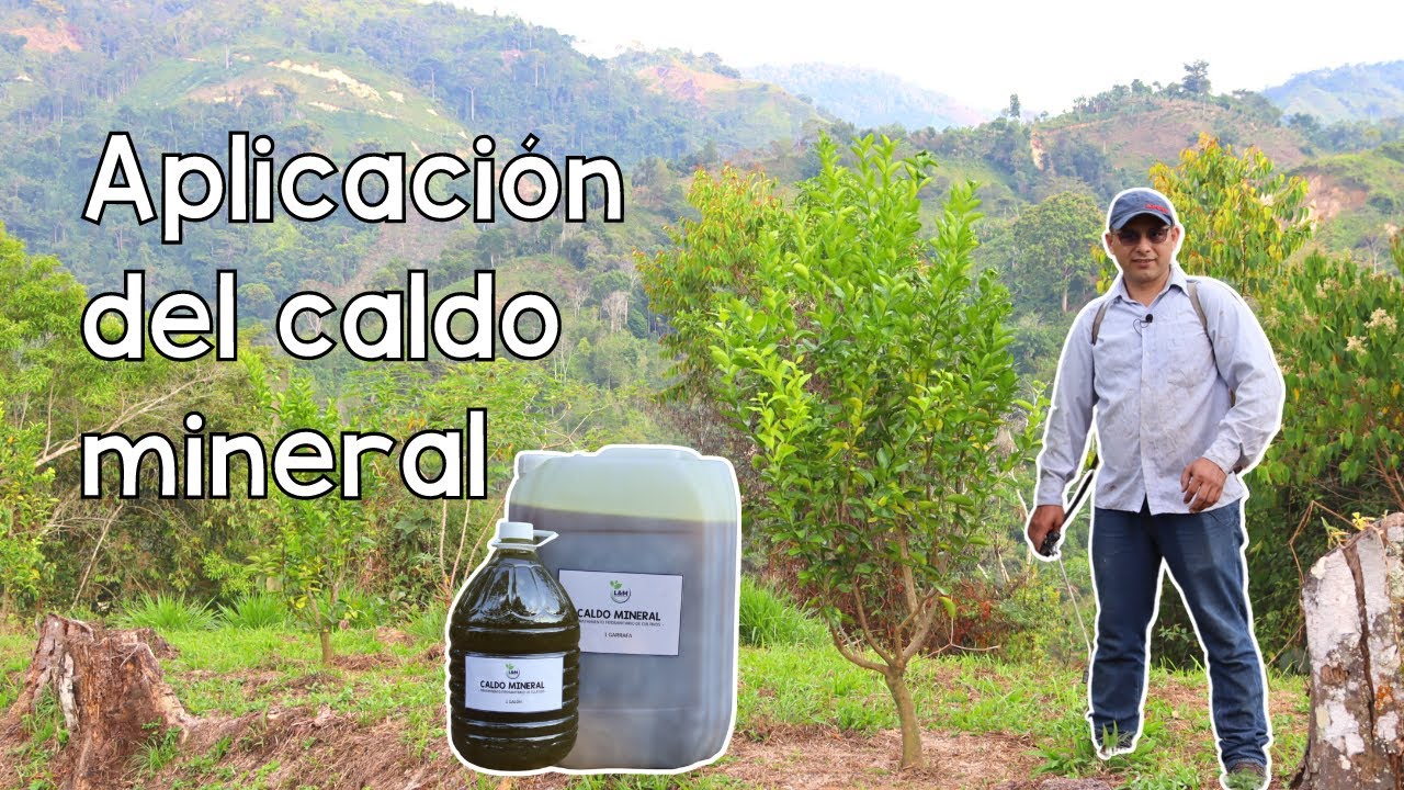 Aplicación del caldo mineral