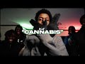 Wav  cannabis clip officiel