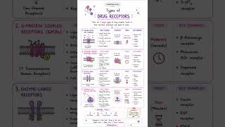 Drug Receptor Explained in 30 Seconds 💊 | Pharmacology Basics | B.Pharm Notes #shorts