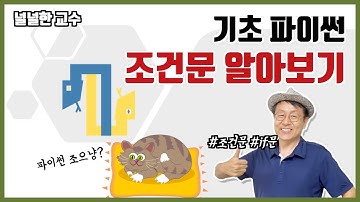 03_1 조건문 알아보기(널널한 교수의 기초 파이썬) ft. 파이썬 코딩