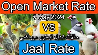 Birds price in karachi Pakistan May 5, 2024 | Jaal rate update | Open market rate update