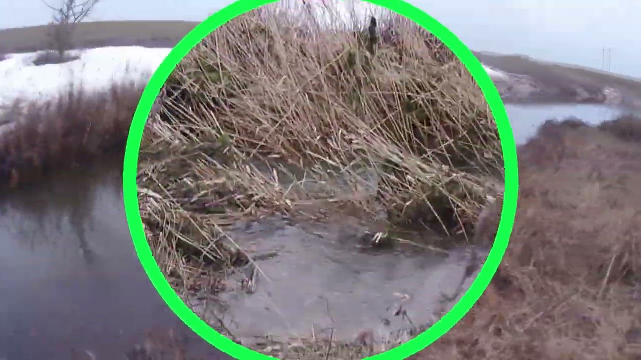 Река Кумшак. 24. 2. 26.