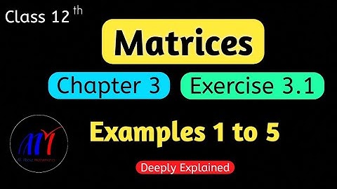 Chapter 3 Matrices Exercise 3.1 ( Examples 1 to 5 ) Class 12 Maths | NCERT Solutions