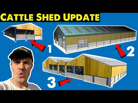 New Shed Progress!