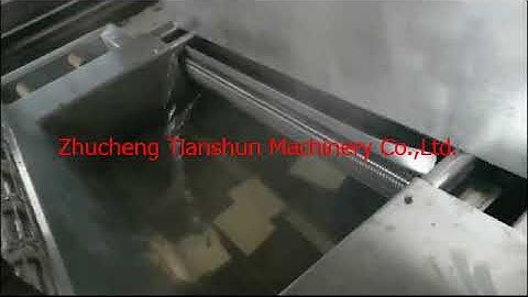 small continuous  frying machine