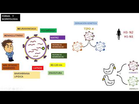 Video: Cómo detener la propagación del virus de la influenza pandémica: 10 pasos