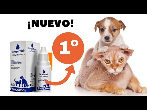 Video: Furosemida - Lista De Medicamentos Y Recetas Para Mascotas, Perros Y Gatos